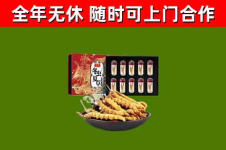 河北区烟酒回收冬虫夏草礼盒.jpg