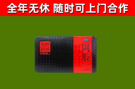 河北区回收阿胶