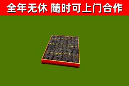 河北区回收海参